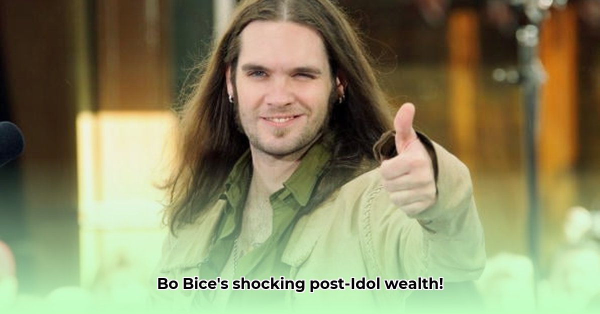 bo-bice-current-net-worth